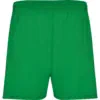 verde-helecho