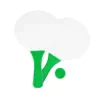 verde-helecho
