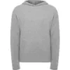 gris-vigore