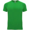 verde-helecho