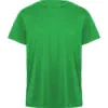 verde-helecho