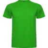 verde-helecho