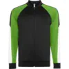 verde-helecho-negro