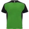 verde-helecho-negro