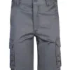 gris