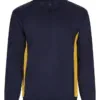 azul-navy-amarillo
