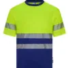 azulina-amarillo-fluor-3